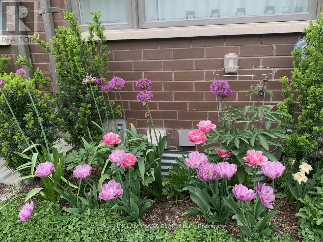 160 William Duncan Road, Toronto, Ontario  M3K 0C1 - Photo 36 - W12798746