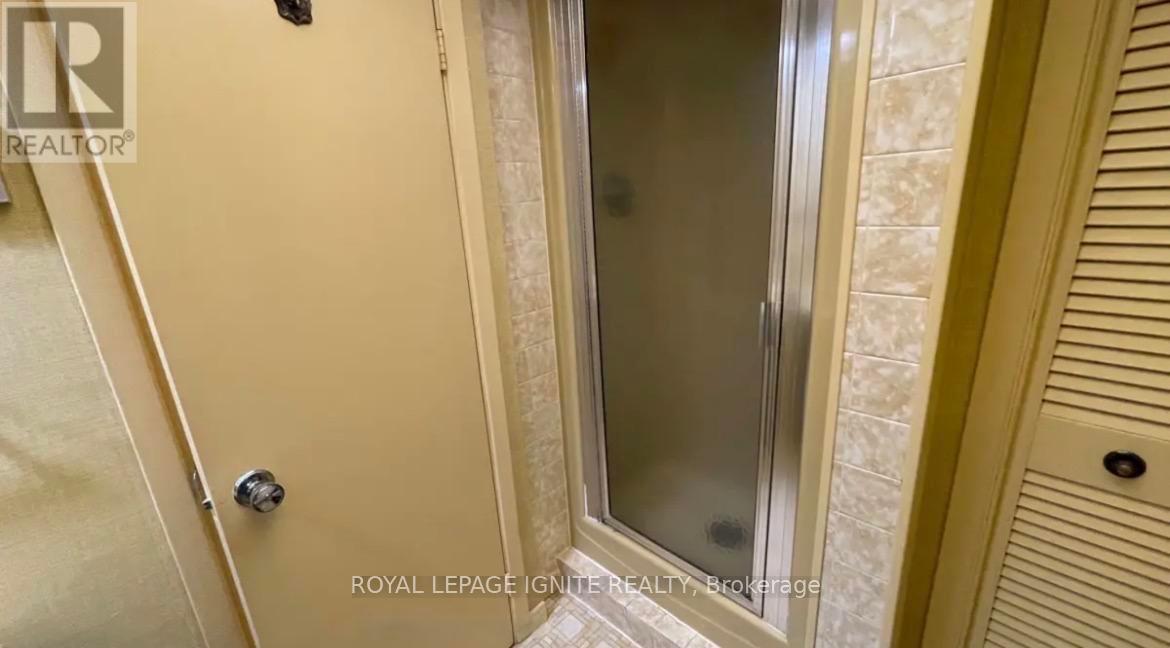 Bsmt - 23 Shaddock Crescent, Toronto, Ontario  M1J 1L3 - Photo 15 - E12798896