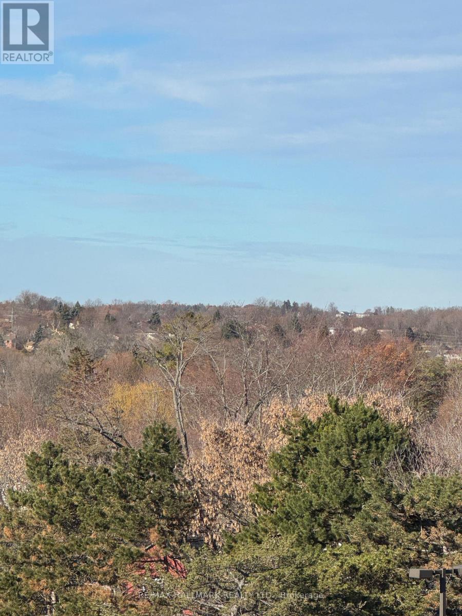 A402 - 705 Davis Drive, Newmarket, Ontario  L3Y 0J1 - Photo 21 - N12799028