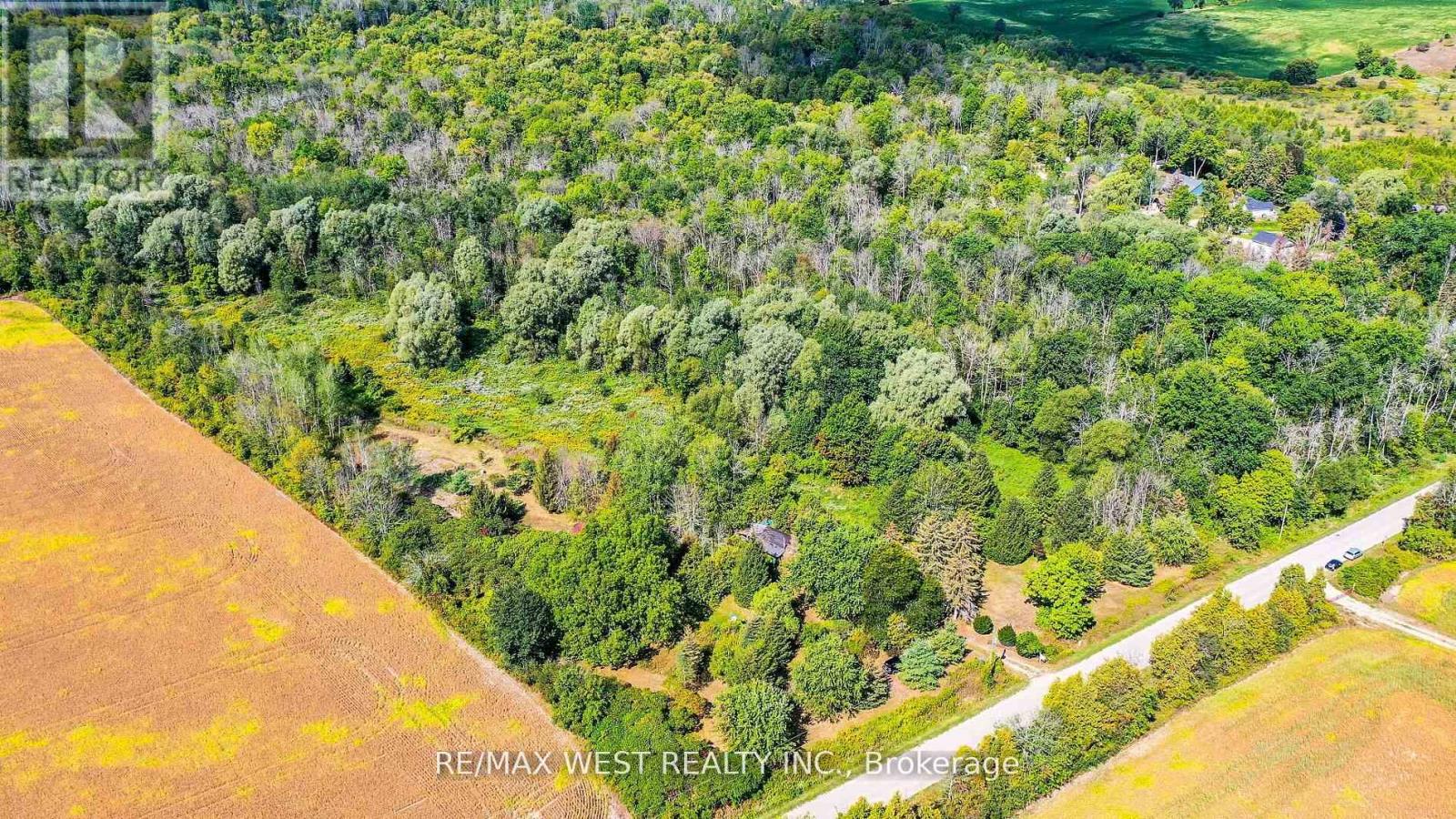 3578 Concession Rd 4, Adjala-Tosorontio, Ontario  L0G 1L0 - Photo 19 - N12799176