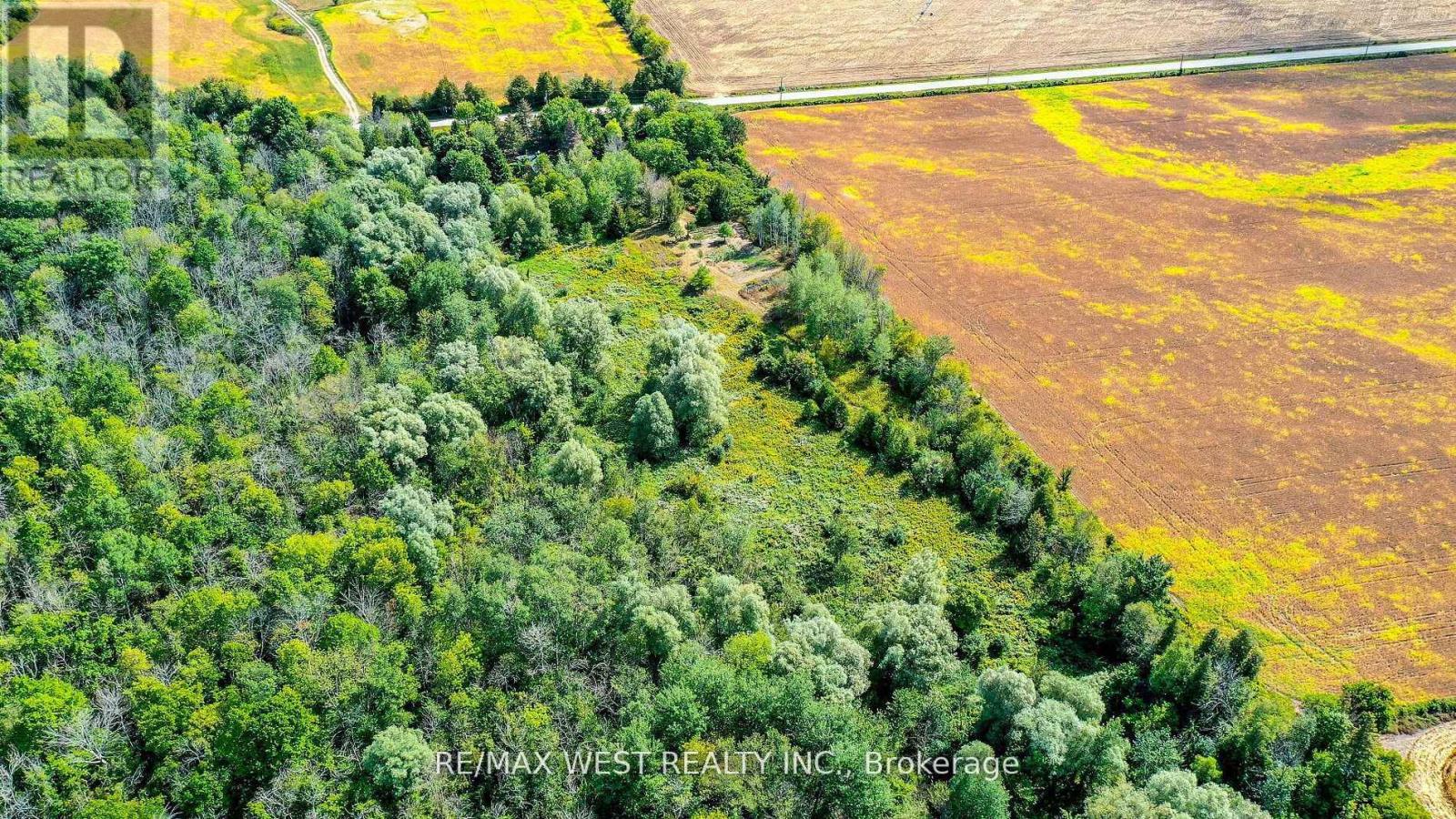 3578 Concession Rd 4, Adjala-Tosorontio, Ontario  L0G 1L0 - Photo 6 - N12799176