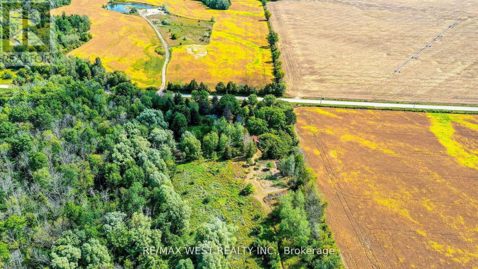 3578 Concession Rd 4, Adjala-Tosorontio, Ontario  L0G 1L0 - Photo 8 - N12799176