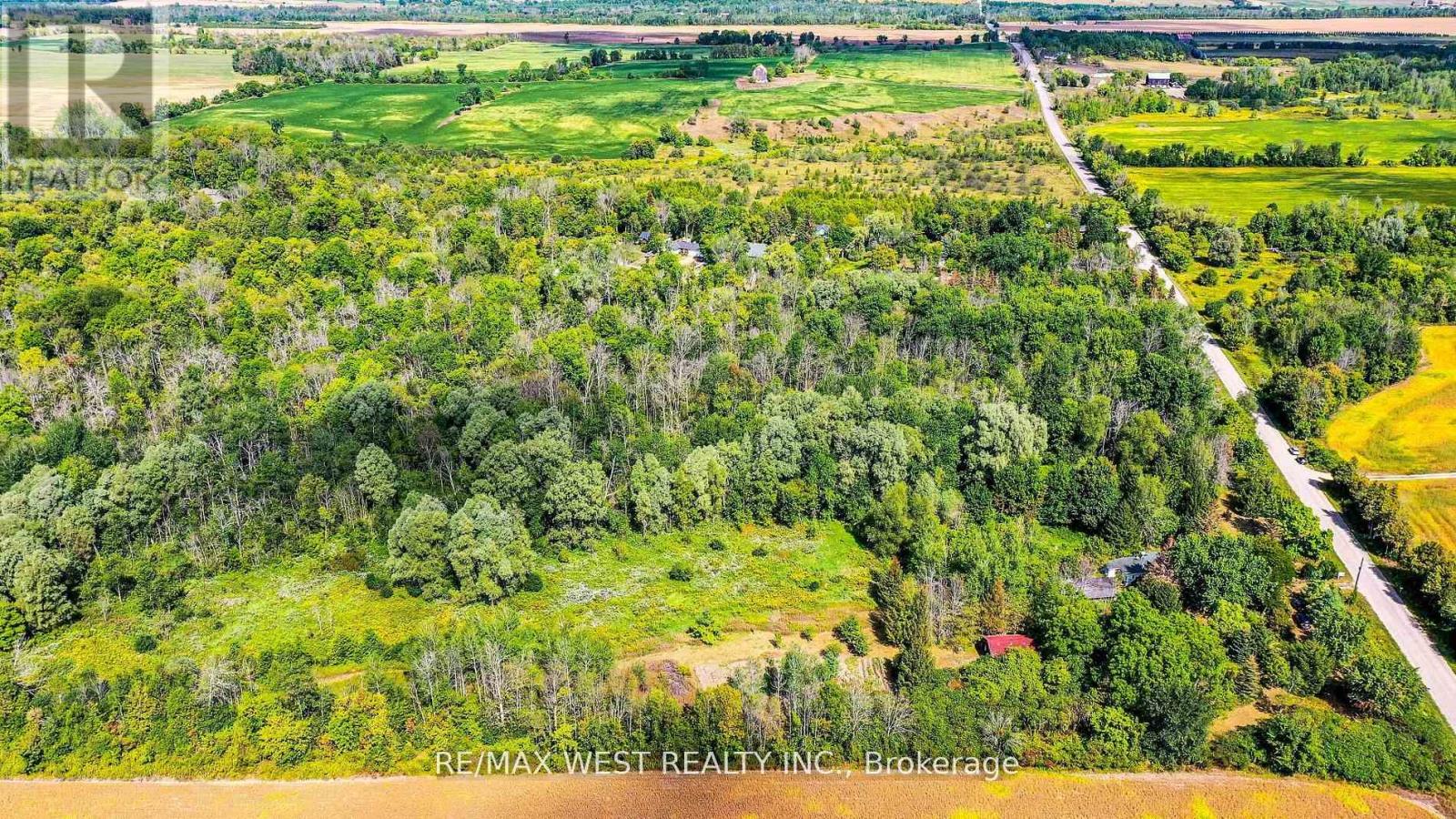 3578 Concession Rd 4, Adjala-Tosorontio, Ontario  L0G 1L0 - Photo 9 - N12799176