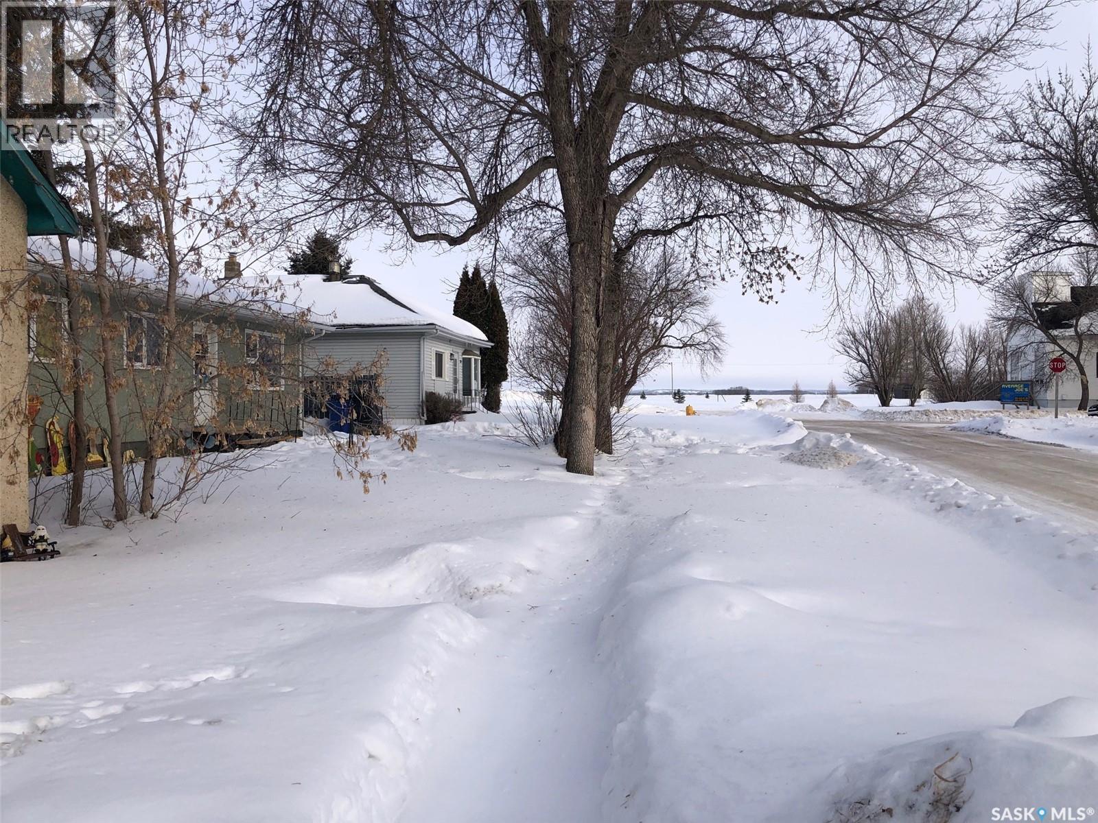 351 Wallace Street, Kamsack, Saskatchewan  S0A 1S0 - Photo 3 - SK028810