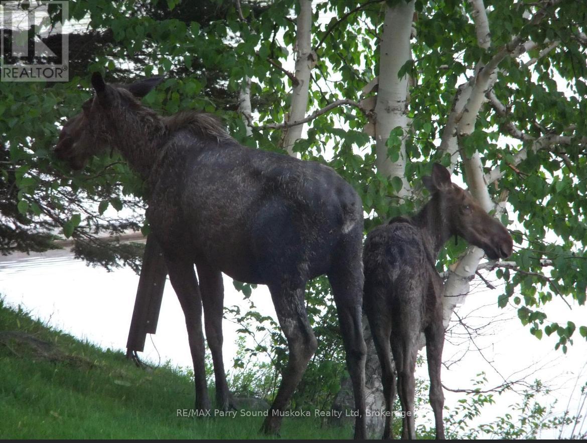 185 Wilson, Parry Sound Remote Area, Ontario  P0H 1Y0 - Photo 3 - X12570216