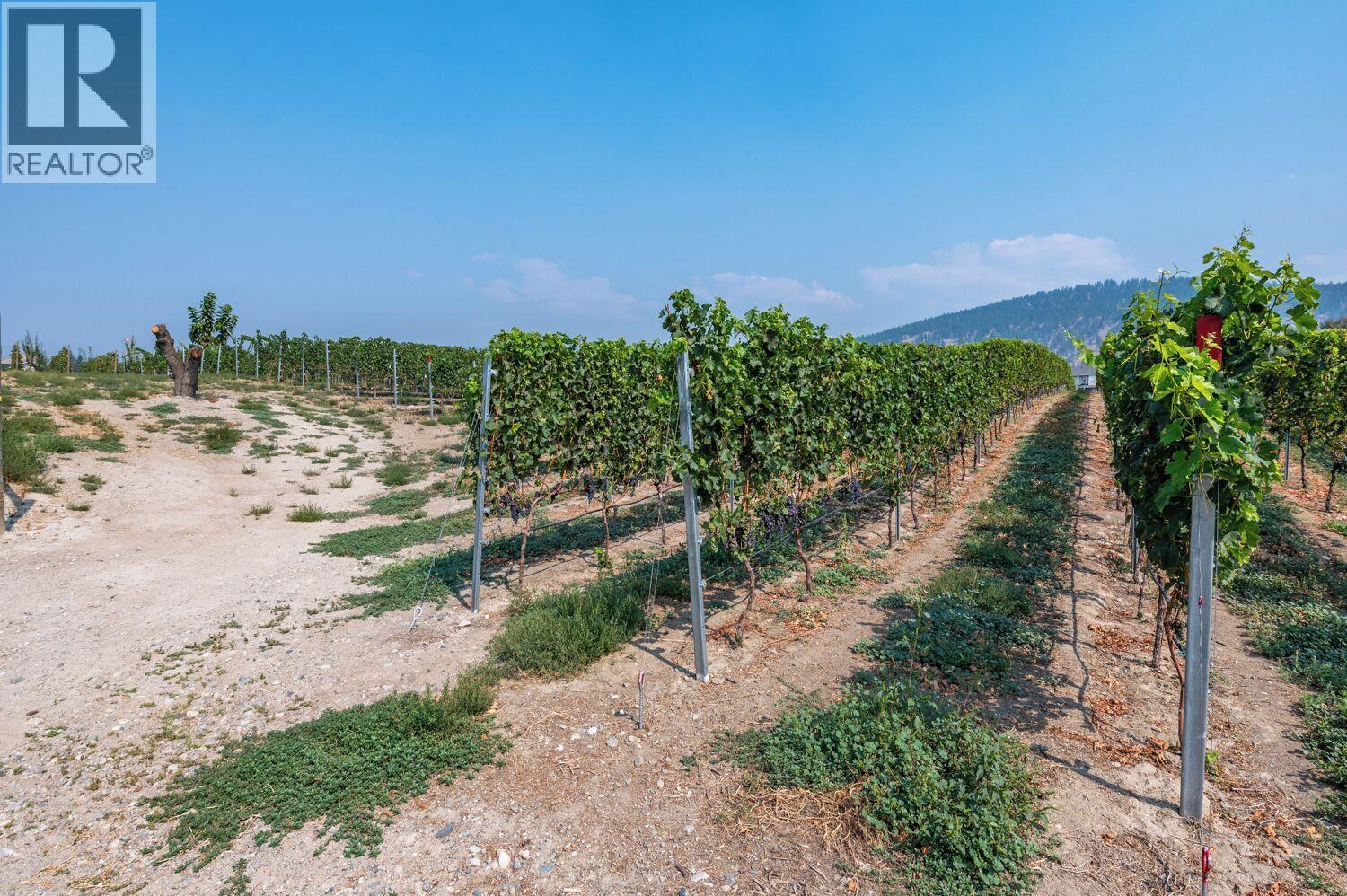 168 LOWER BENCH Road Penticton Photo 19