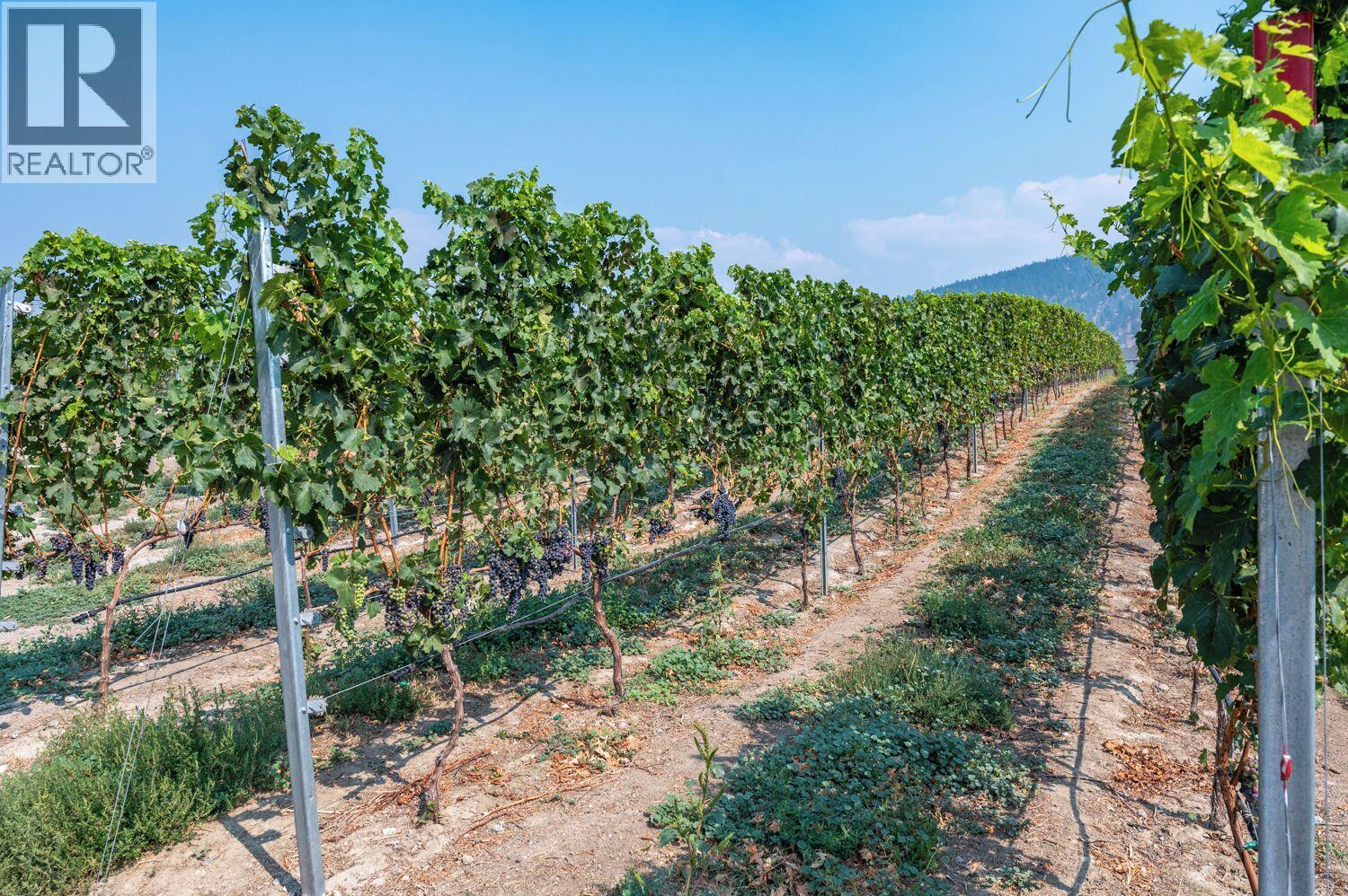 168 LOWER BENCH Road Penticton Photo 21