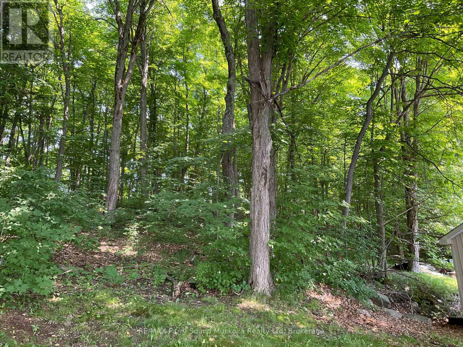 185 Wilson, Parry Sound Remote Area, Ontario  P0H 1Y0 - Photo 23 - X12570216