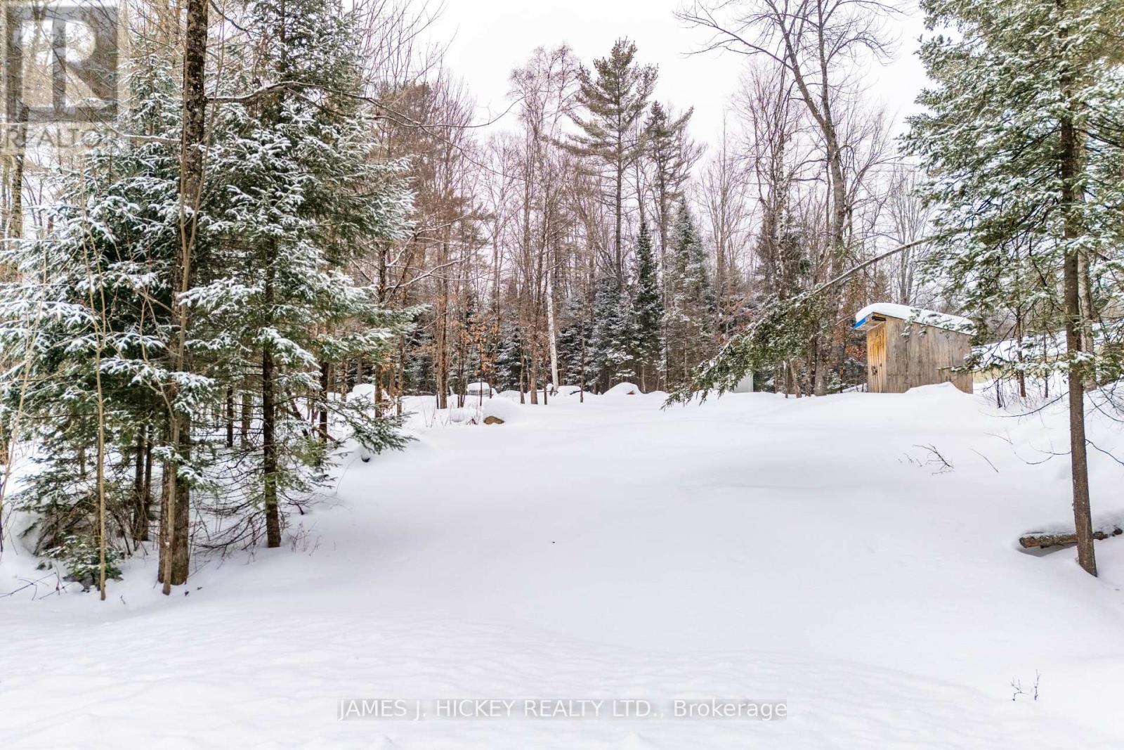 235 Brouse Road, Deep River, Ontario  K0J 1P0 - Photo 20 - X12799774