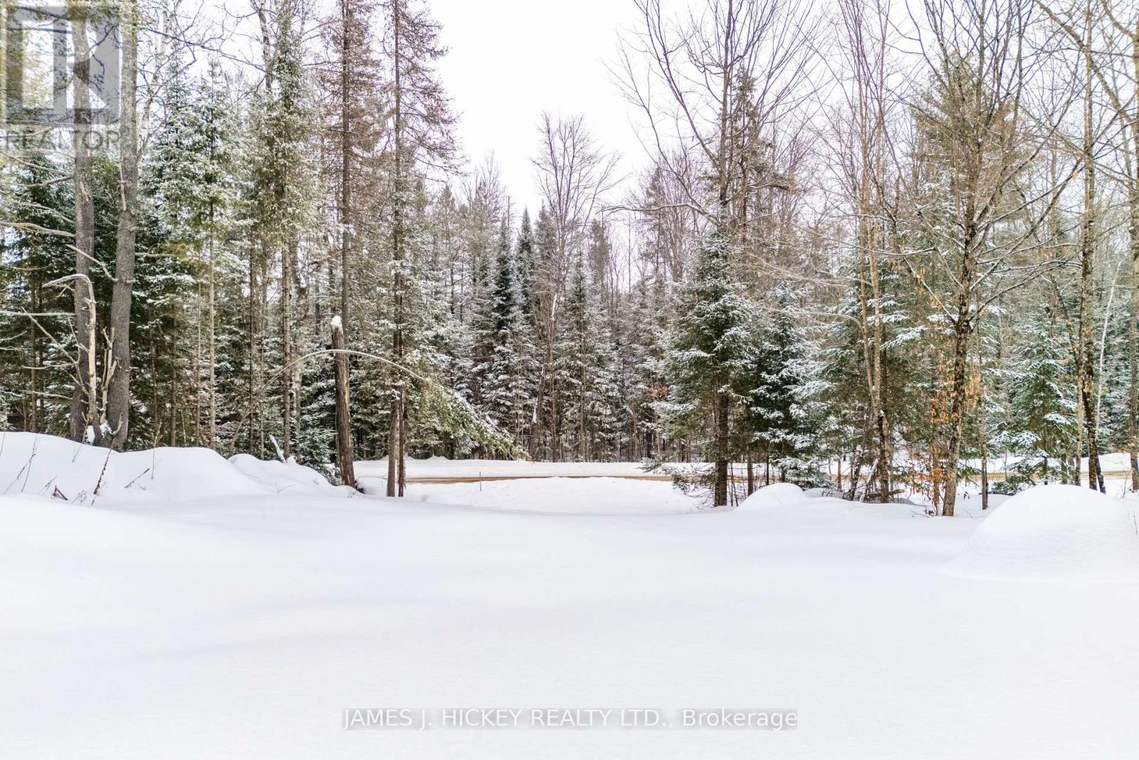 235 Brouse Road, Deep River, Ontario  K0J 1P0 - Photo 22 - X12799774