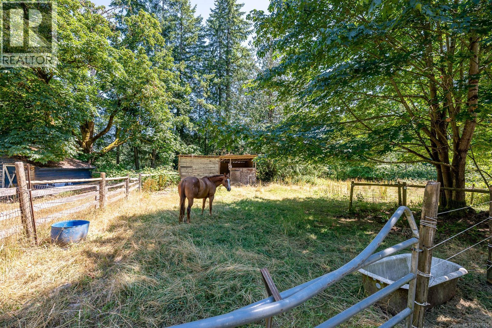 2468 Endall Rd, Black Creek, British Columbia  V0R 1C0 - Photo 26 - 1026326