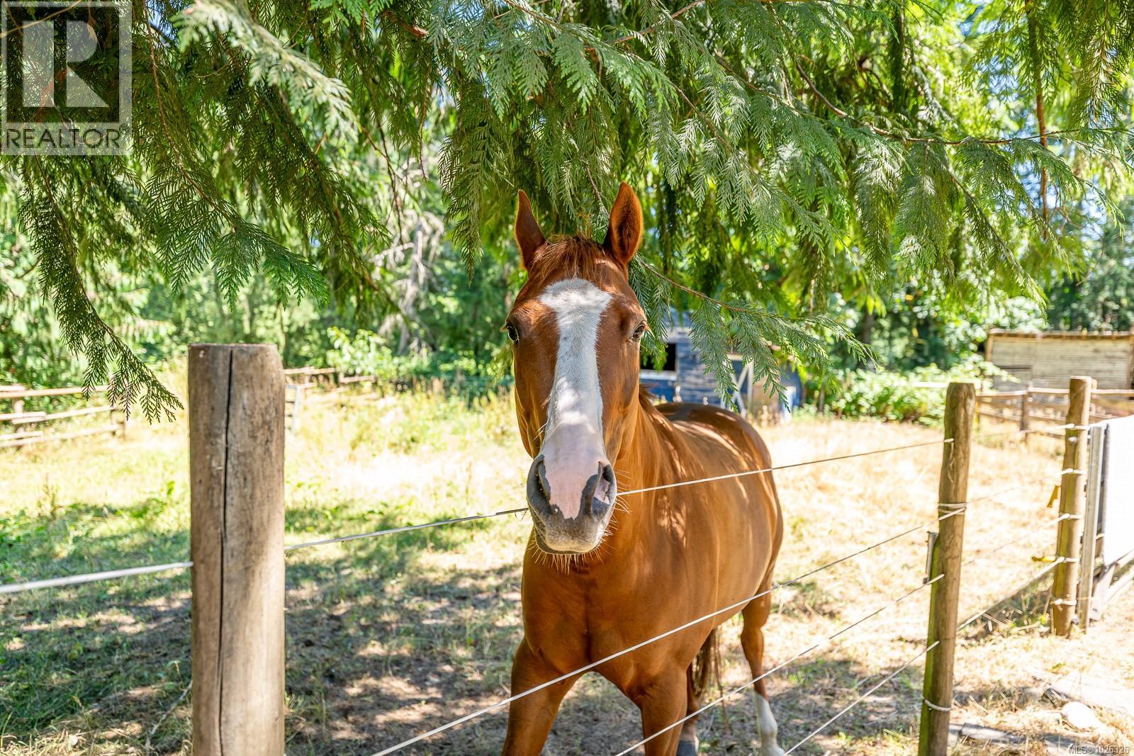 2468 Endall Rd, Black Creek, British Columbia  V0R 1C0 - Photo 48 - 1026326