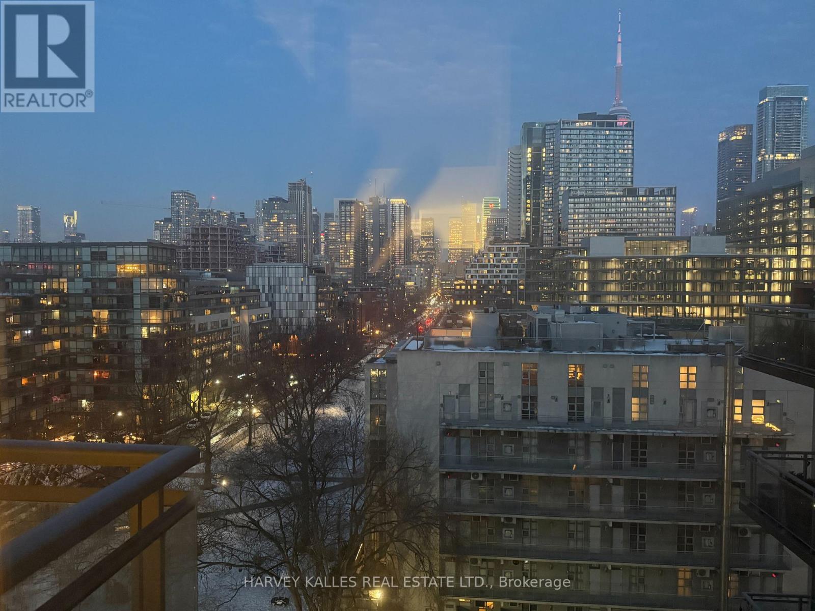 1009 - 38 Niagara Street, Toronto, Ontario  M5V 3X1 - Photo 5 - C12799792