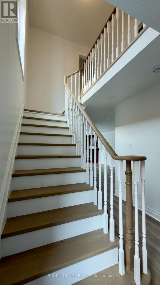 3801 Forest Bluff Crescent, Mississauga, Ontario  L5N 7T8 - Photo 31 - W12796446