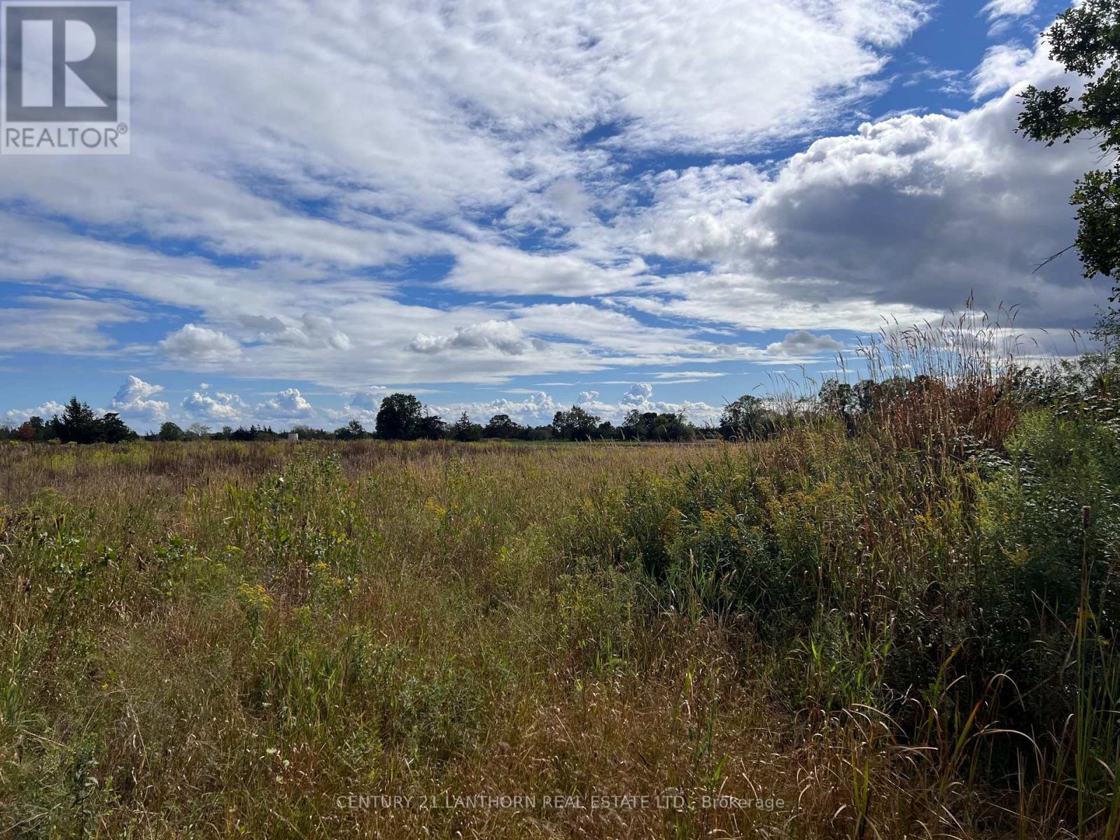 00 Black Road, Prince Edward County (Sophiasburg Ward), Ontario  K0K 1W0 - Photo 2 - X12800066