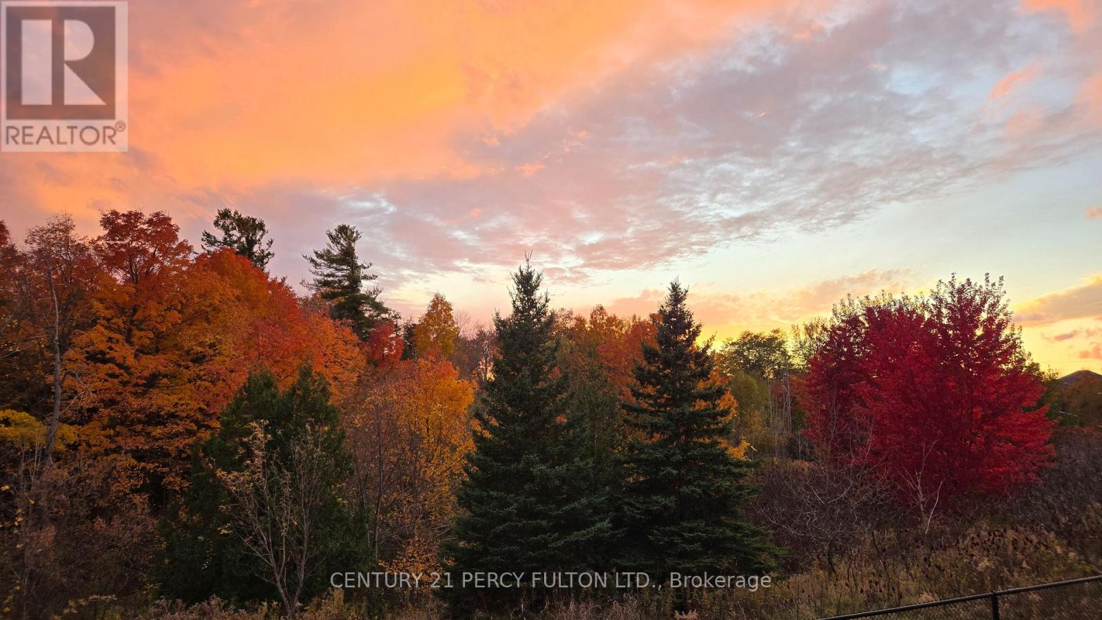 1 - 301 Strouds Lane, Pickering, Ontario  L1V 7J1 - Photo 47 - E12800104