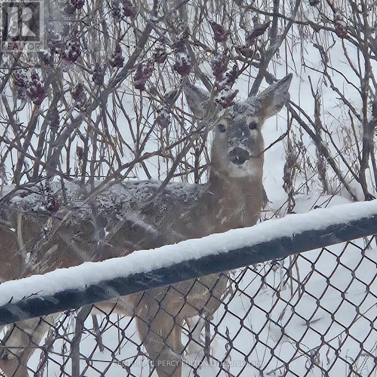 1 - 301 Strouds Lane, Pickering, Ontario  L1V 7J1 - Photo 49 - E12800104