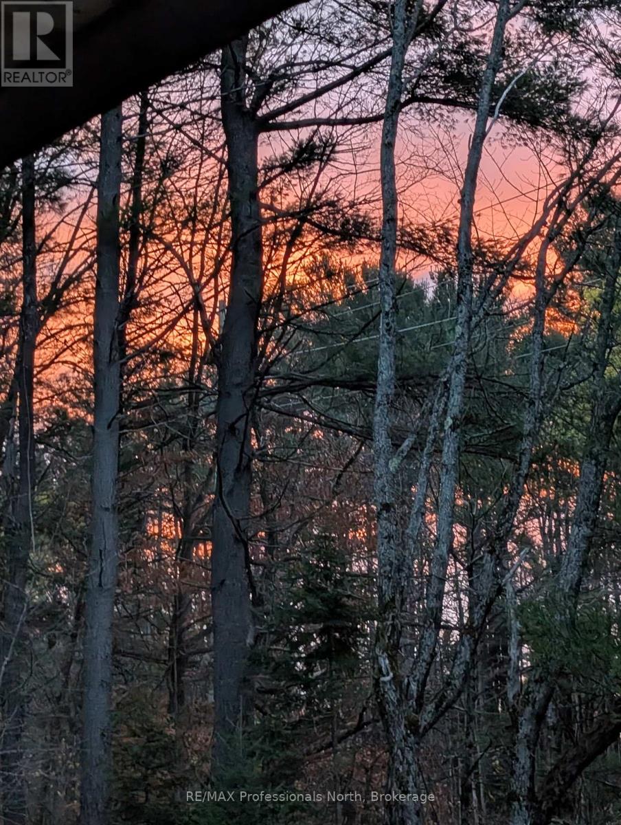 224 Stephenson 4 Road W, Huntsville, Ontario  P0B 1M0 - Photo 23 - X12800202