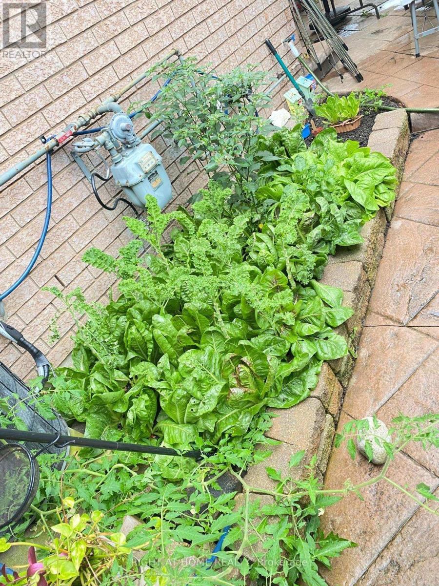 2 Melrose Gardens, Brampton, Ontario  L7A 1J7 - Photo 48 - W12789770