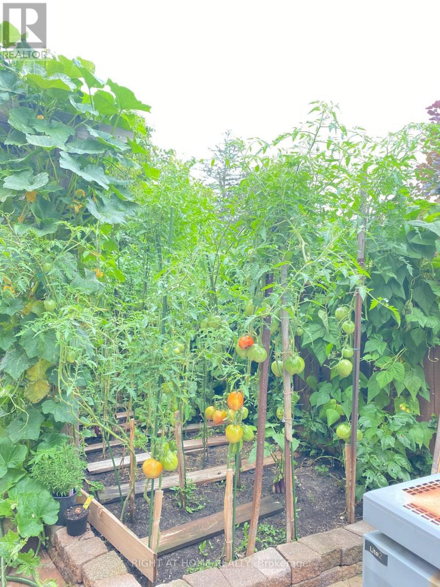 2 Melrose Gardens, Brampton, Ontario  L7A 1J7 - Photo 49 - W12789770