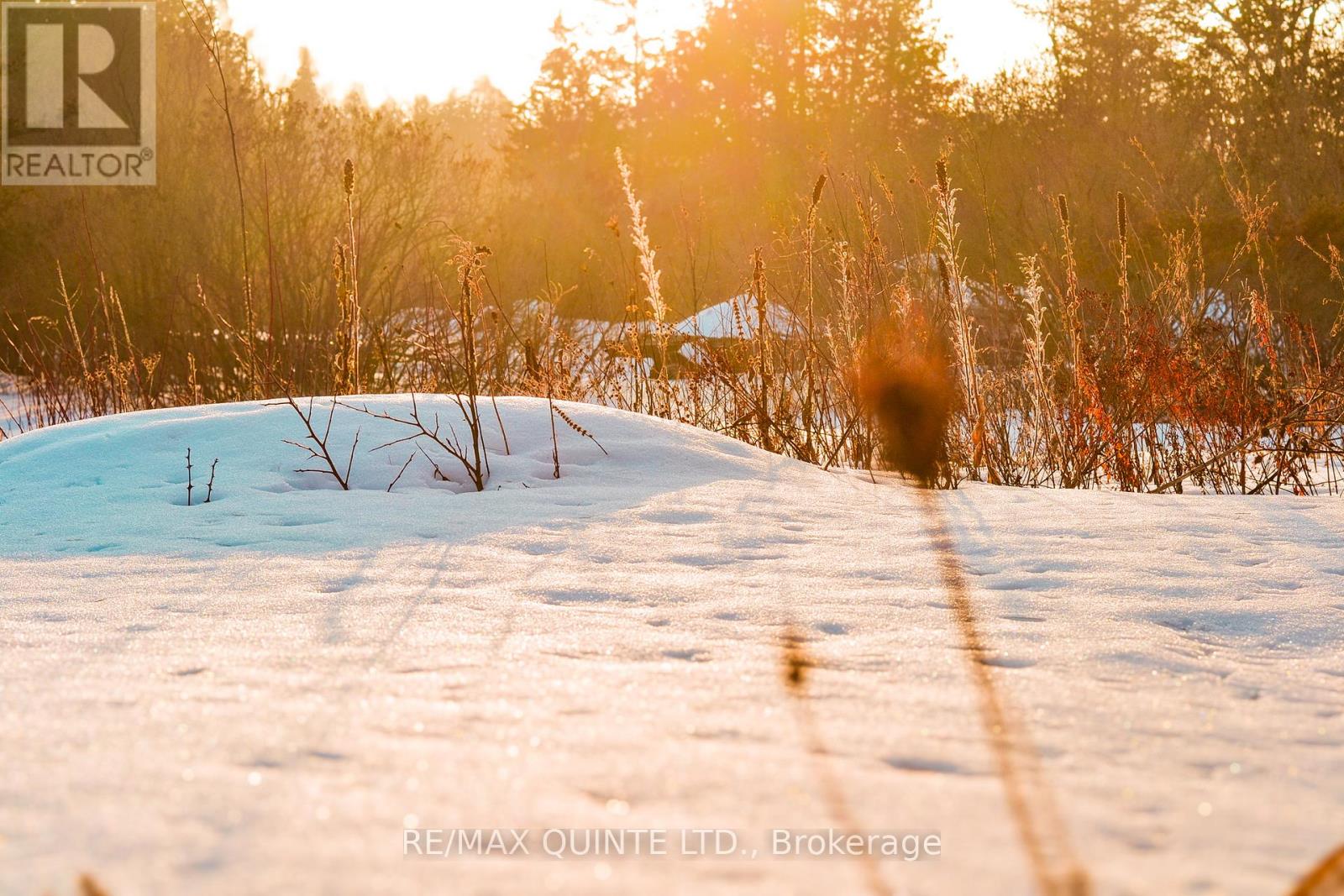 812 Enright Road N, Tyendinaga, Ontario  K0K 3A0 - Photo 8 - X12800344