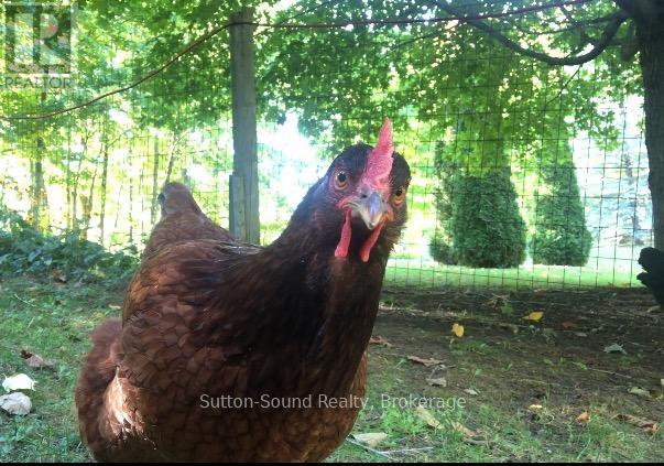 280216 Sideroad 15, Georgian Bluffs, Ontario  N0H 2K0 - Photo 29 - X12800608