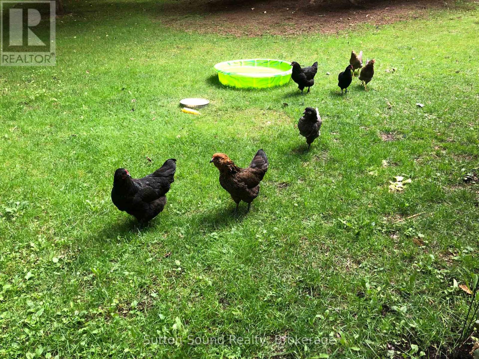 280216 Sideroad 15, Georgian Bluffs, Ontario  N0H 2K0 - Photo 30 - X12800608