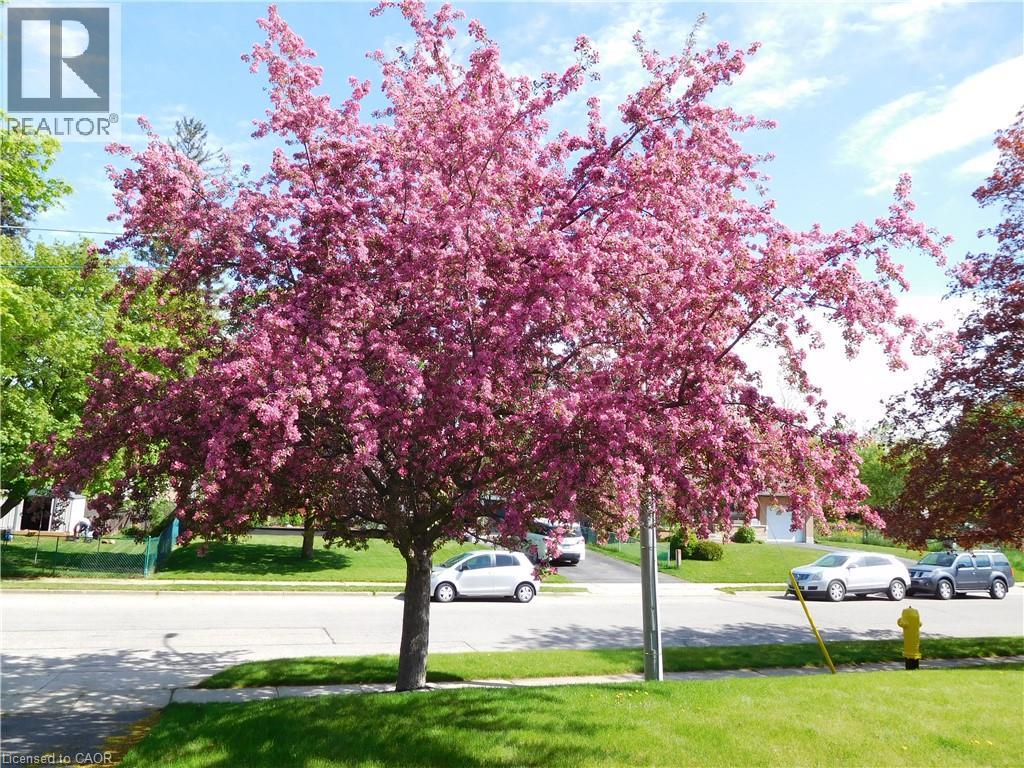 1166 Homuth Avenue, Cambridge, Ontario  N3H 2C7 - Photo 3 - 40805419