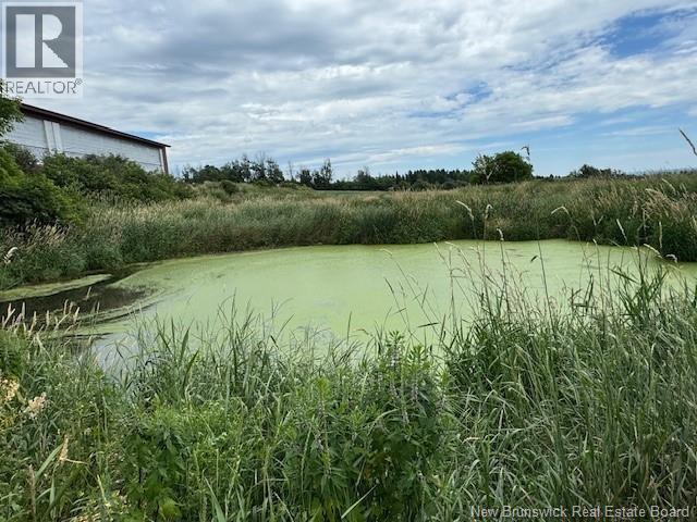 47260 Homestead Road, Steeves Mountain, New Brunswick  E1G 4P4 - Photo 15 - NB133477