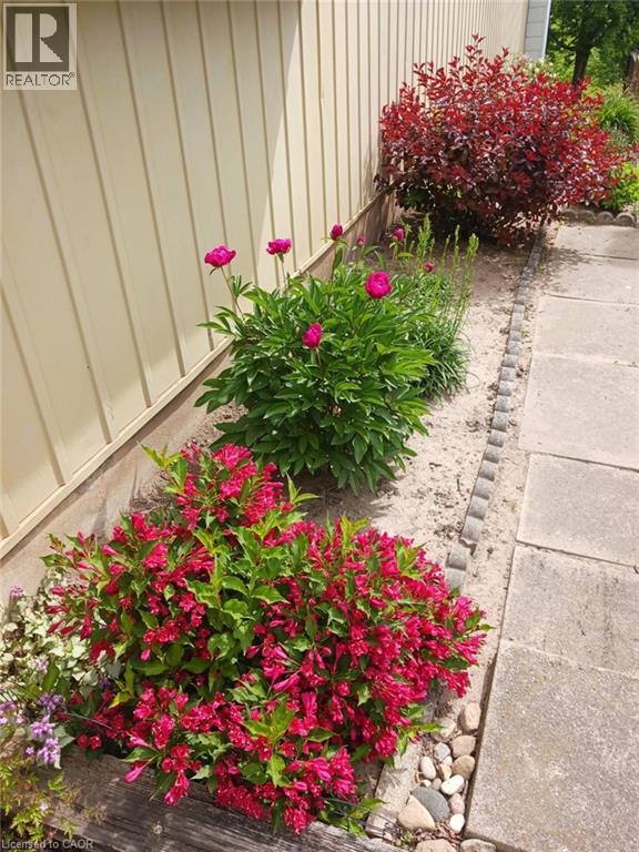 20 Royal Orchard Drive, Kitchener, Ontario  N2N 1J6 - Photo 46 - 40805192