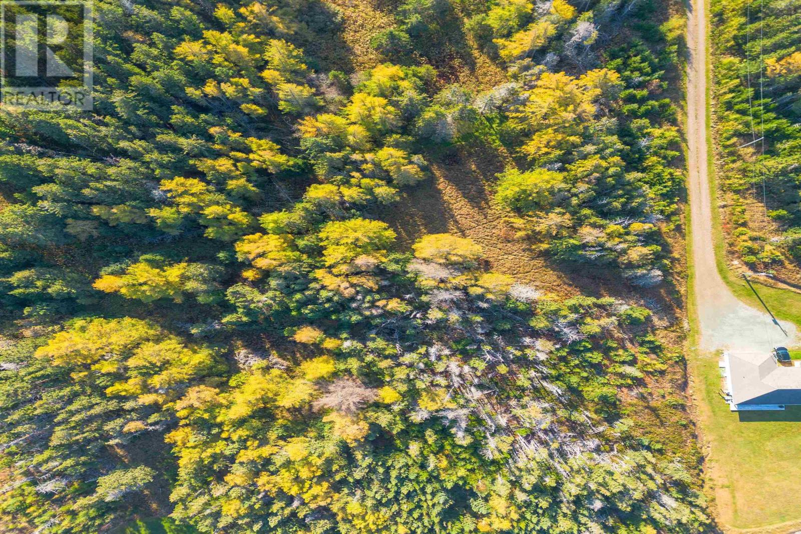 Lower Shore Road, Little Judique, Nova Scotia  B0E 1P0 - Photo 17 - 202603000