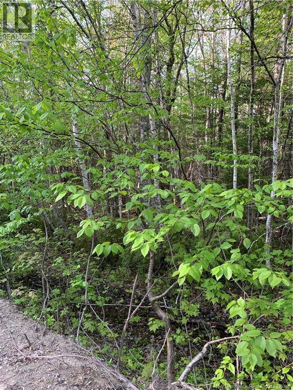 David Road, Galloway, New Brunswick  E4W 0A7 - Photo 3 - NB133816