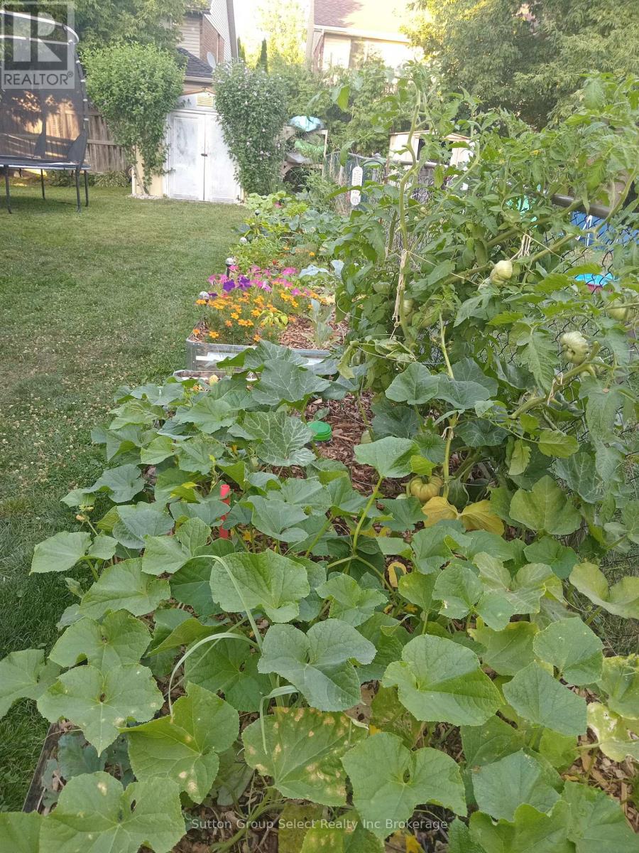 1091 Canfield Crescent, Woodstock, Ontario N4S 8P3 - Photo 38 - X12800708