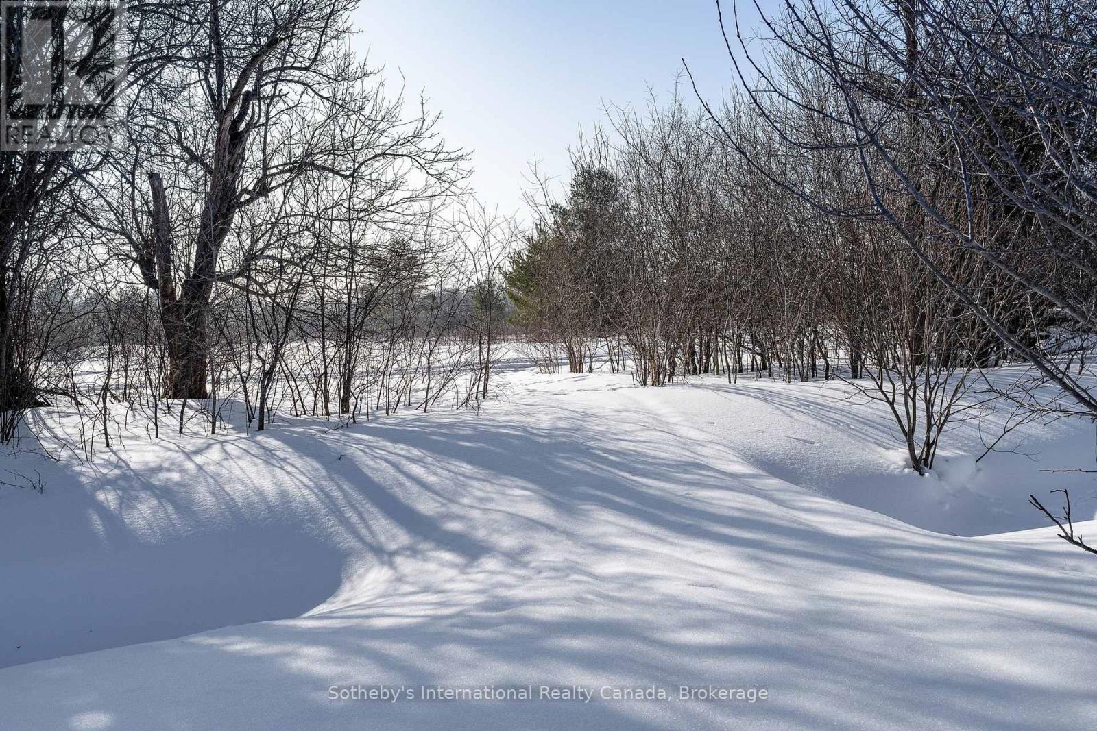 8 Hall Street, Springwater (Phelpston), Ontario  L0L 2K0 - Photo 37 - S12800698