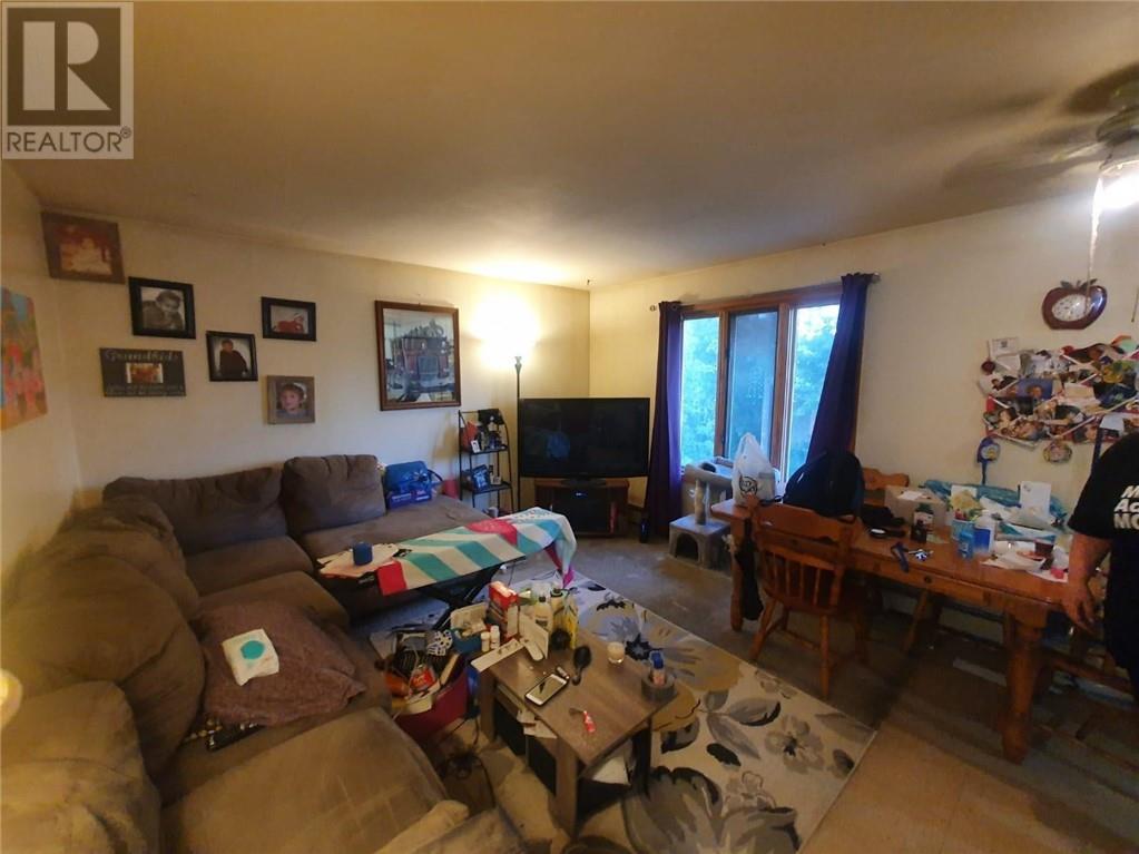 332 Burton Avenue, Sudbury, Ontario  P3C 4K5 - Photo 15 - 2126461