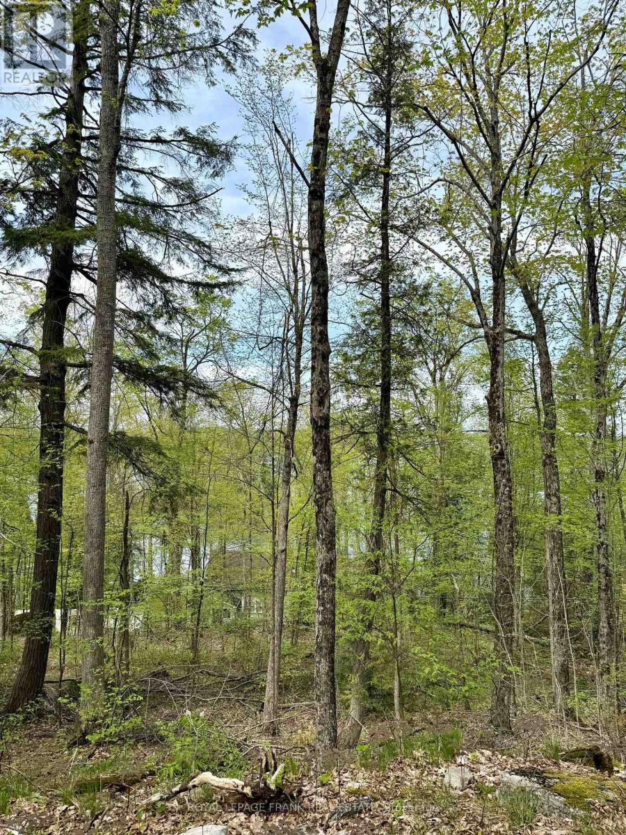 00 Birchview Road, Douro-Dummer, Ontario  K0L 2H0 - Photo 10 - X12192694