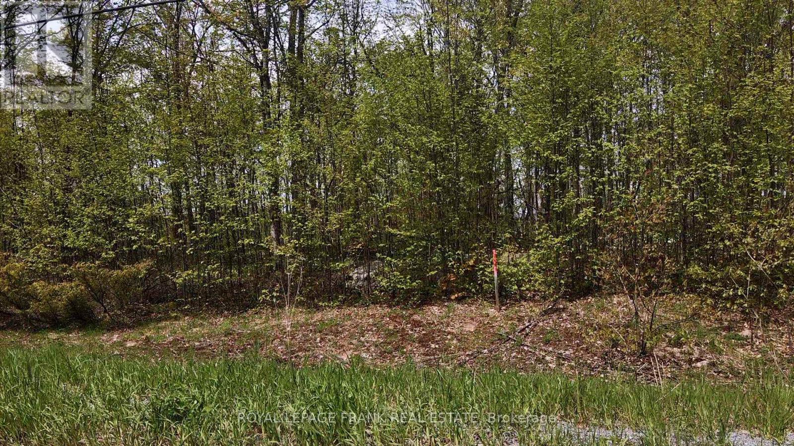 00 Birchview Road, Douro-Dummer, Ontario  K0L 2H0 - Photo 5 - X12192694