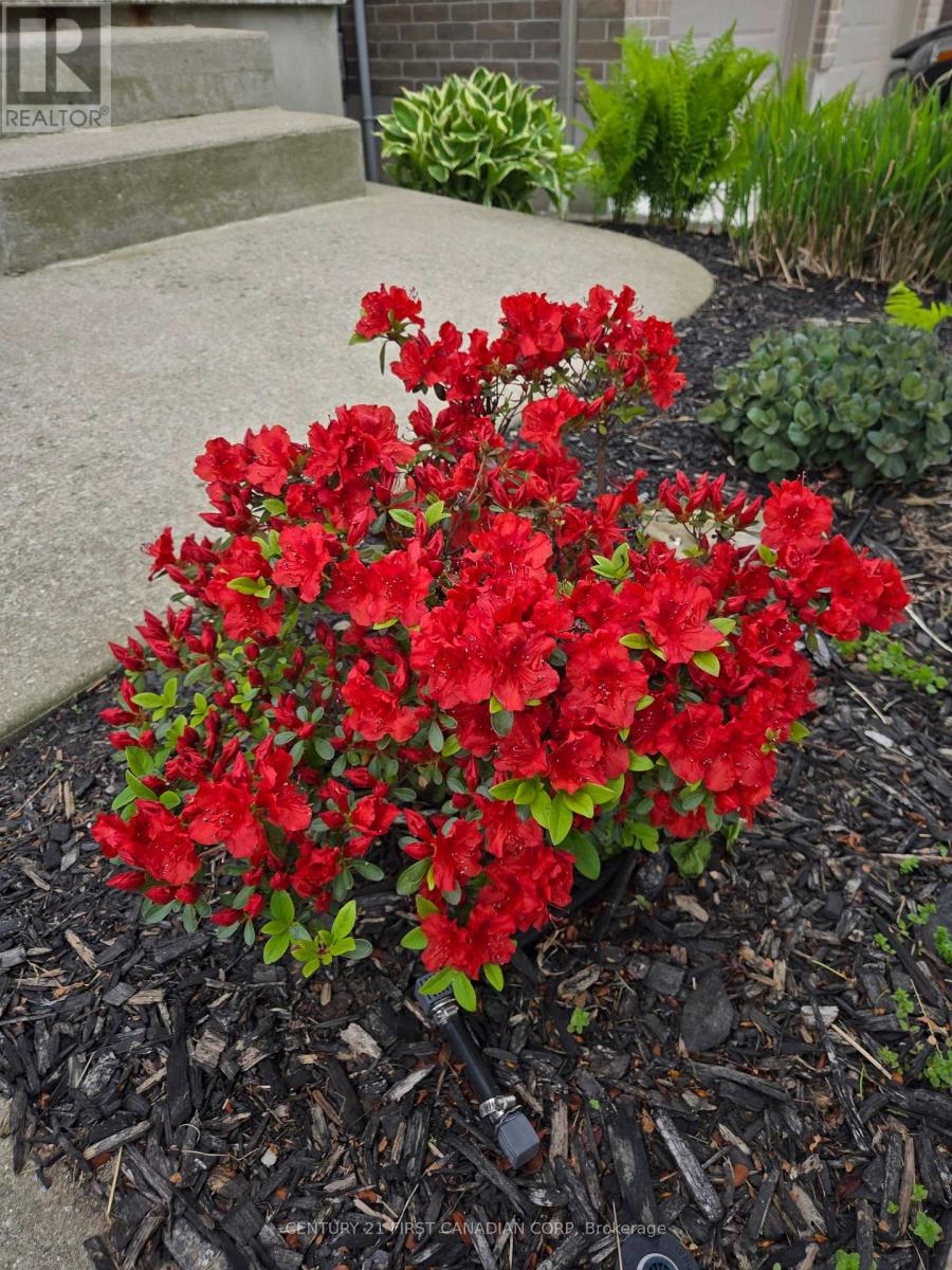 38 - 777 Apricot Drive, London South, Ontario  N6K 5B3 - Photo 4 - X12800858