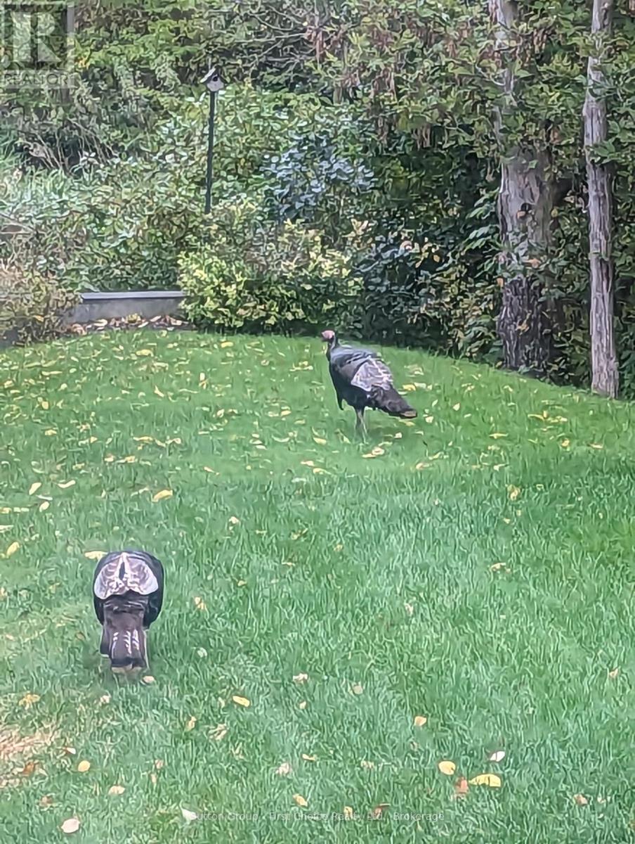 32 North Pointe Drive, Stratford, Ontario N5A 8C3 - Photo 42 - X12799588