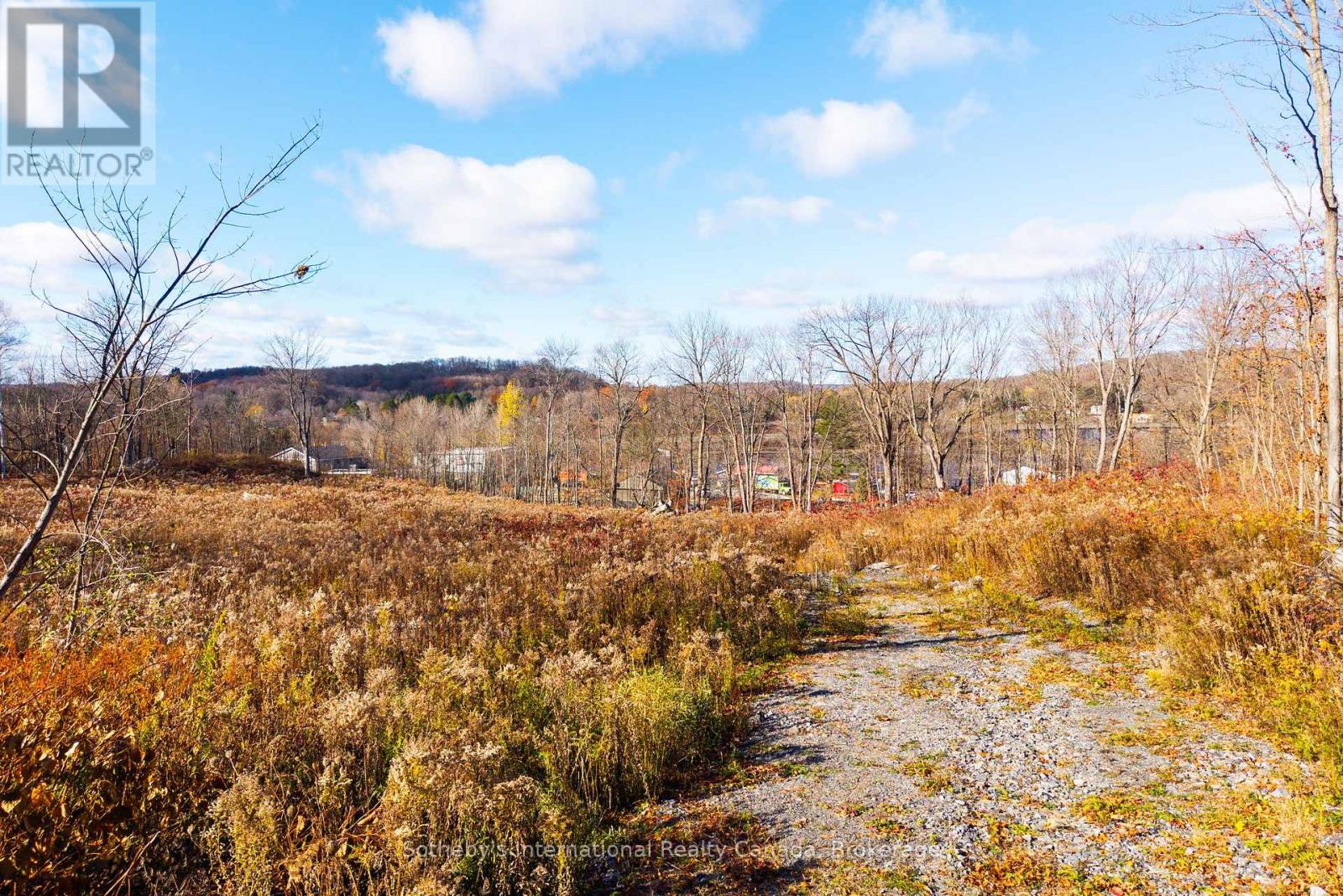 48 West Elliott Street, Huntsville, Ontario  P1H 1W2 - Photo 10 - X12543134