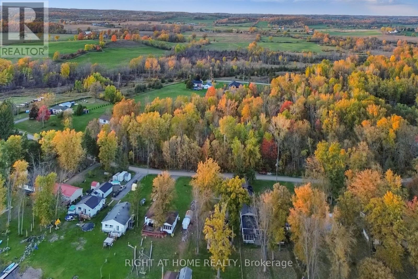 49 River Road W, Trent Hills, Ontario  K0L 1L0 - Photo 22 - X12690260