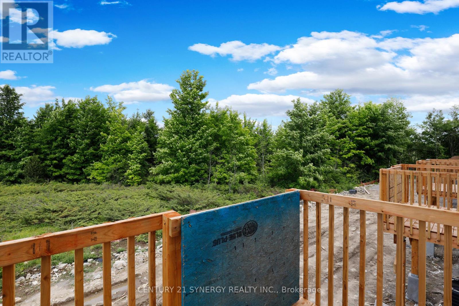 91 Staples Boulevard, Smiths Falls, Ontario  K7A 0B8 - Photo 30 - X12801030