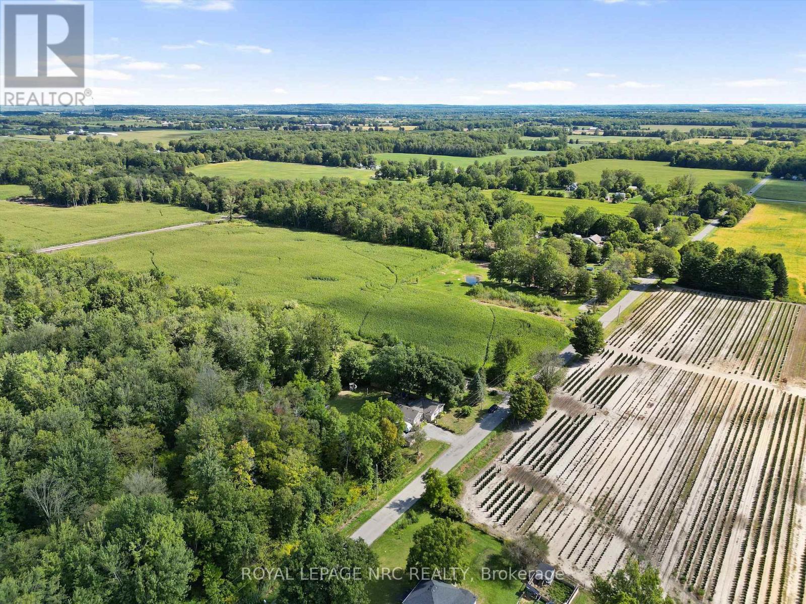 53170 Willford Road, Wainfleet, Ontario  L0S 1S0 - Photo 33 - X12801238