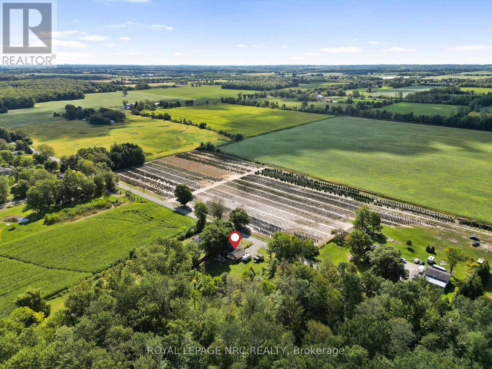 53170 Willford Road, Wainfleet, Ontario  L0S 1S0 - Photo 35 - X12801238