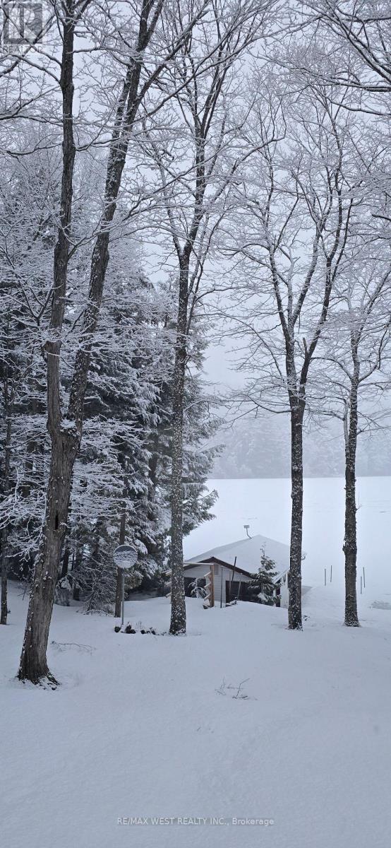 1091 Mcarthur Point Road, Lake Of Bays, Ontario  P0B 1A0 - Photo 47 - X12801210