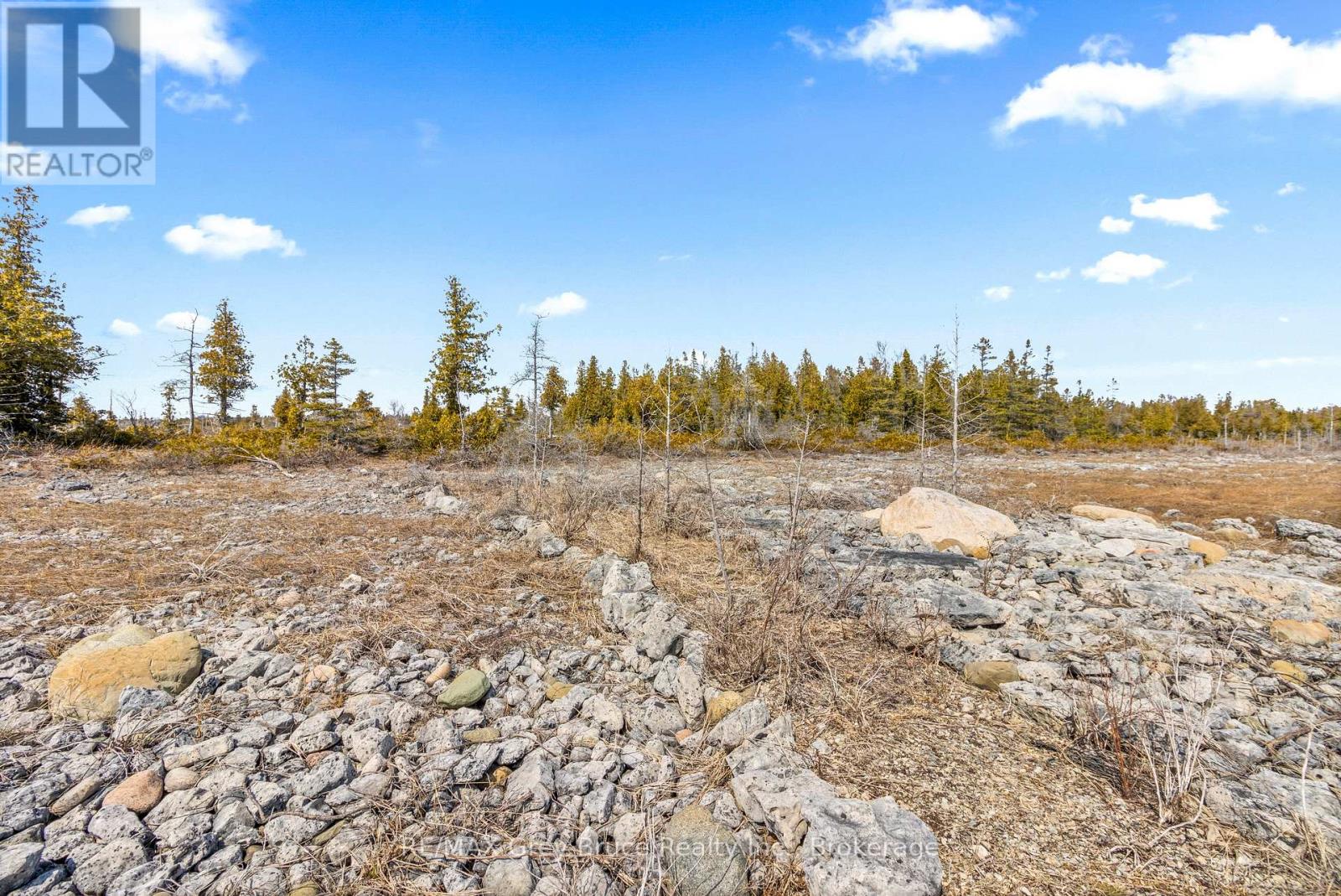 23 Pedwell Drive, Northern Bruce Peninsula, Ontario  N0H 2R0 - Photo 11 - X12801422