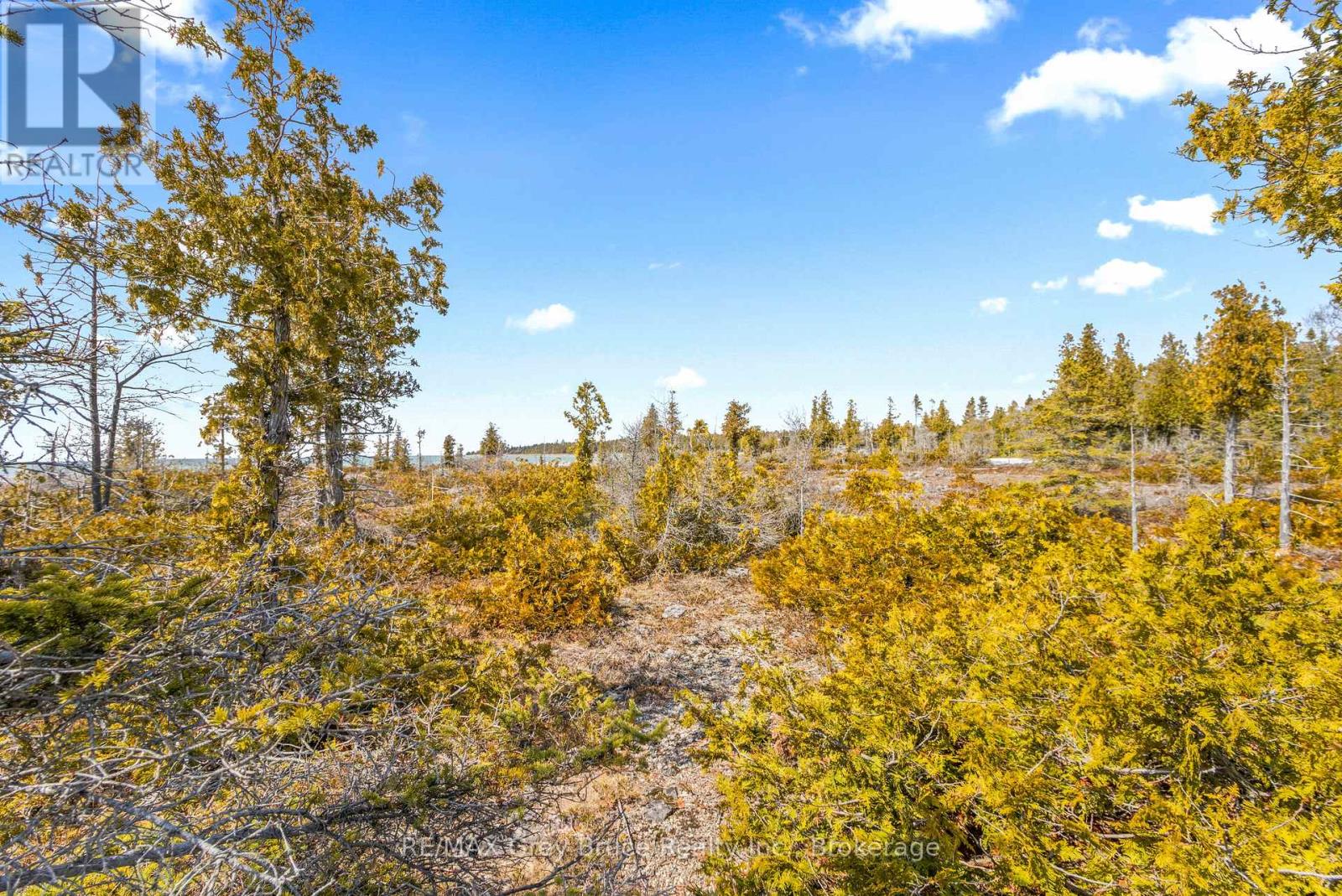 23 Pedwell Drive, Northern Bruce Peninsula, Ontario  N0H 2R0 - Photo 13 - X12801422