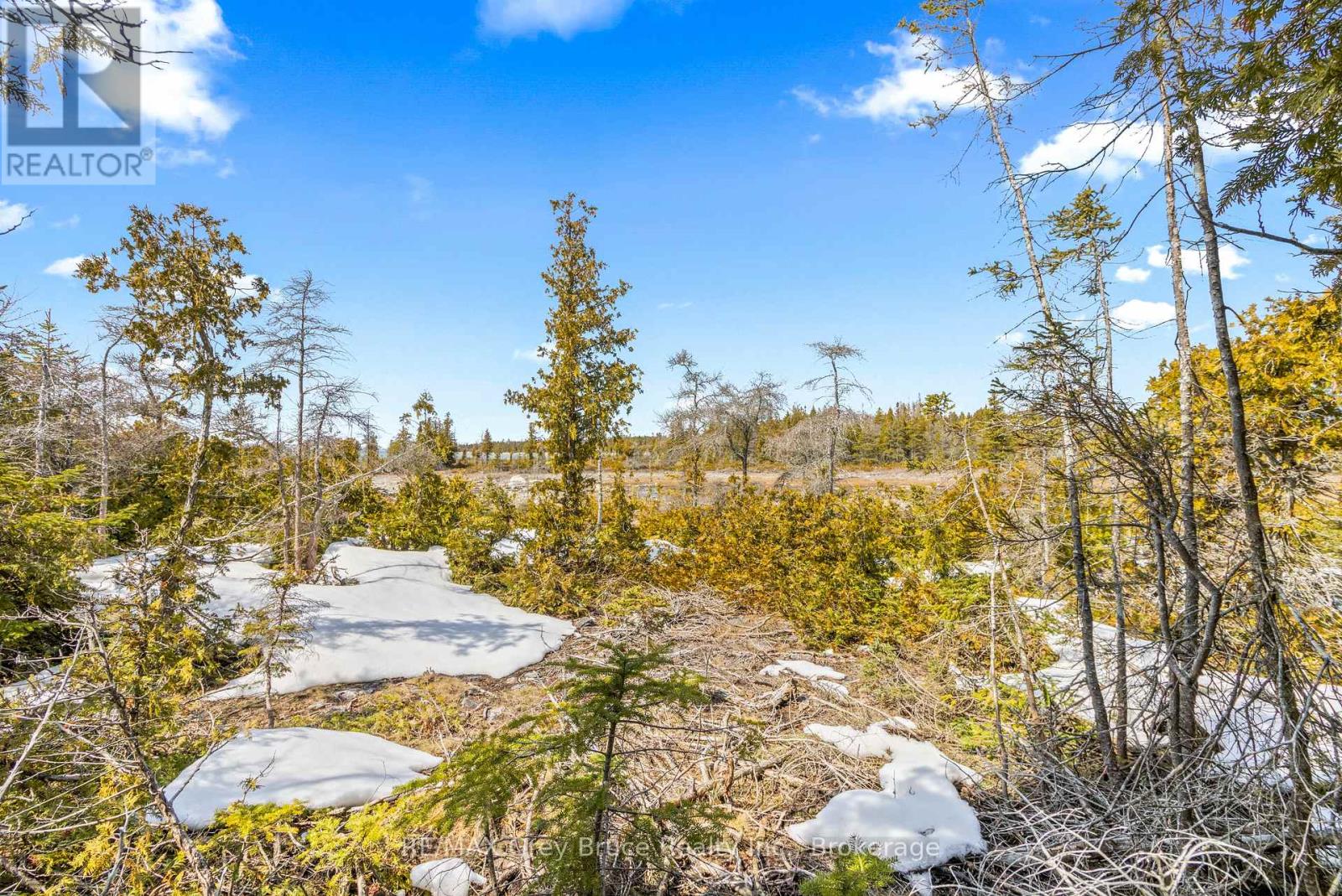 23 Pedwell Drive, Northern Bruce Peninsula, Ontario  N0H 2R0 - Photo 5 - X12801422