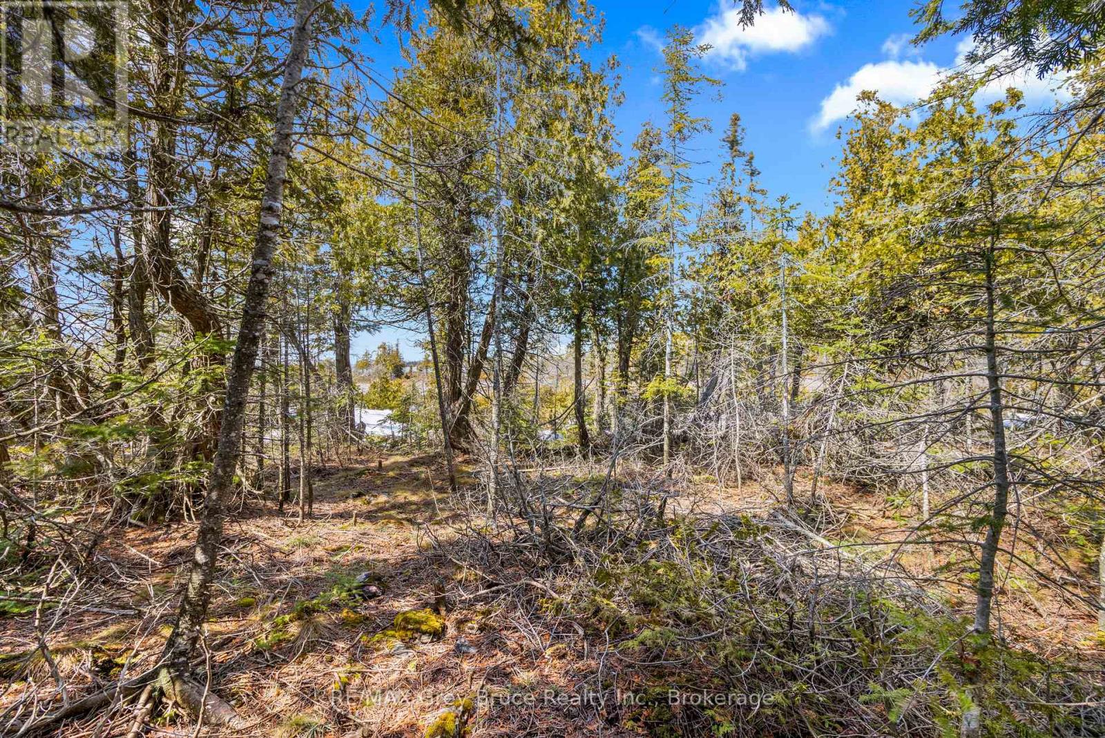 23 Pedwell Drive, Northern Bruce Peninsula, Ontario  N0H 2R0 - Photo 6 - X12801422