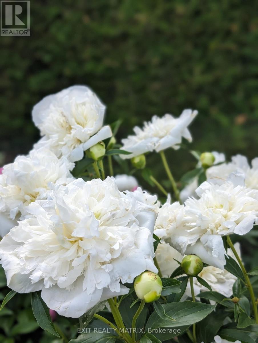 636 Front Road, Champlain, Ontario  K0B 1K0 - Photo 45 - X12798014